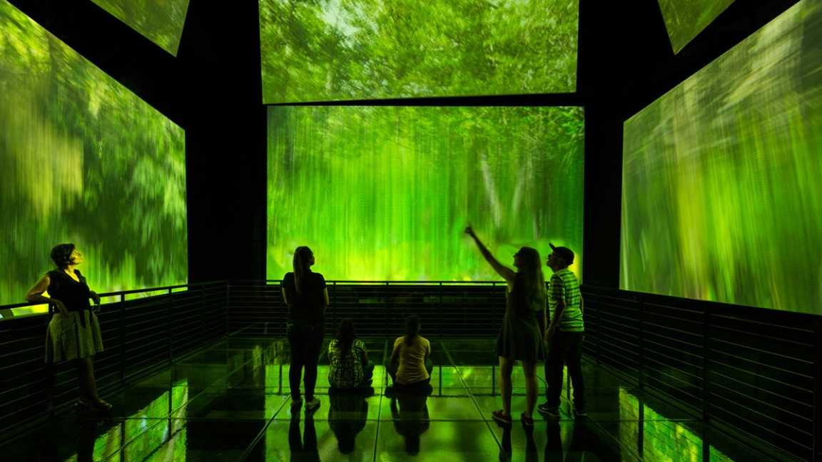 1701137425207714.jpg 9.jpg