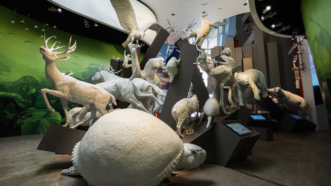 1701137469570758.jpg 11.jpg