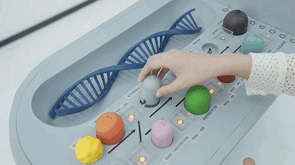 1739841877864521.gif xhsj.gif