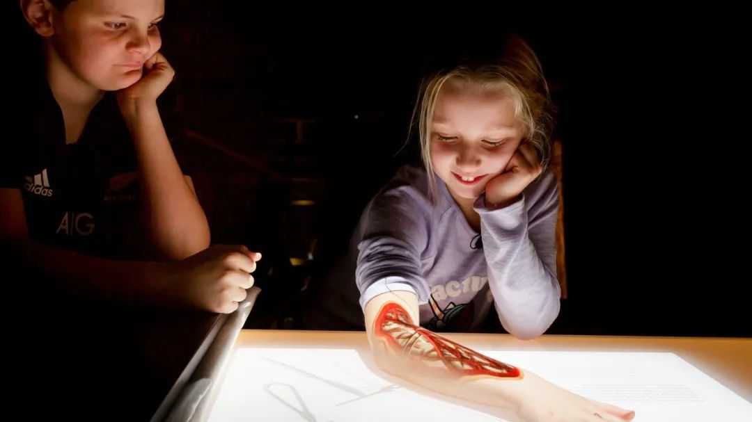 1740619722937330.jpg 654013bf7b41f1a10f2741aecd05f1c.jpg