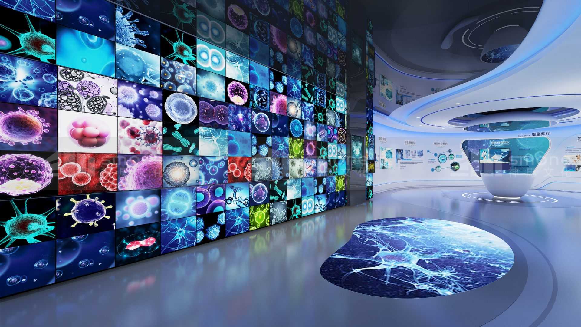 1742866318391897.jpg 1695450648697628.jpg