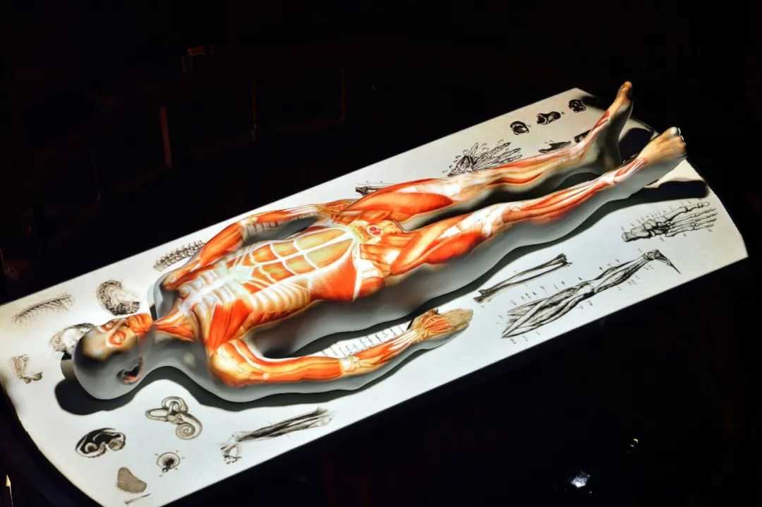 1745543607909156.jpg 8ff33c237176251a111d2ea789e6ecc.jpg