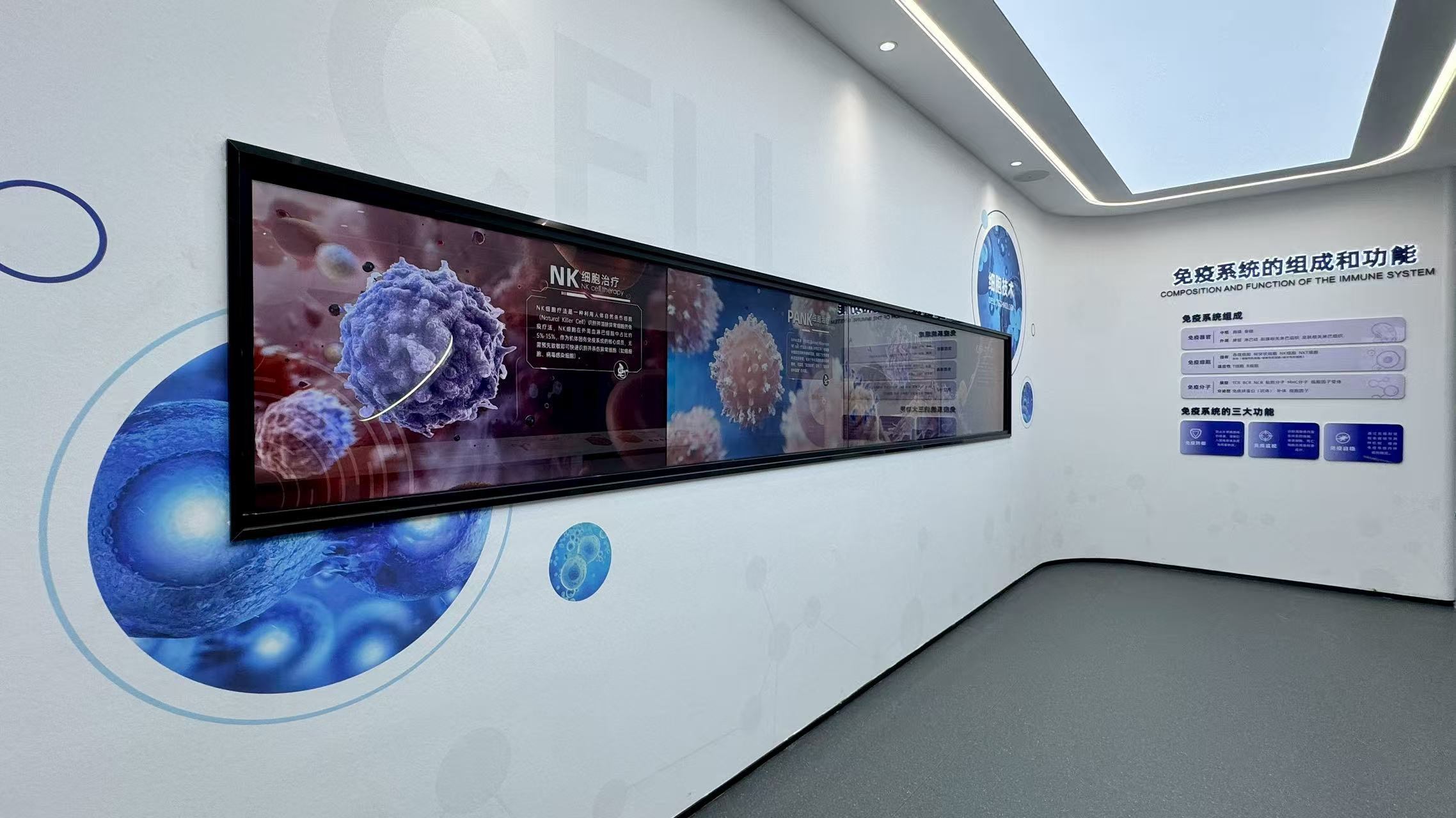 1757553171709087.jpg 93c2d71a0e44e06e2c6ce73108622c8f.jpg