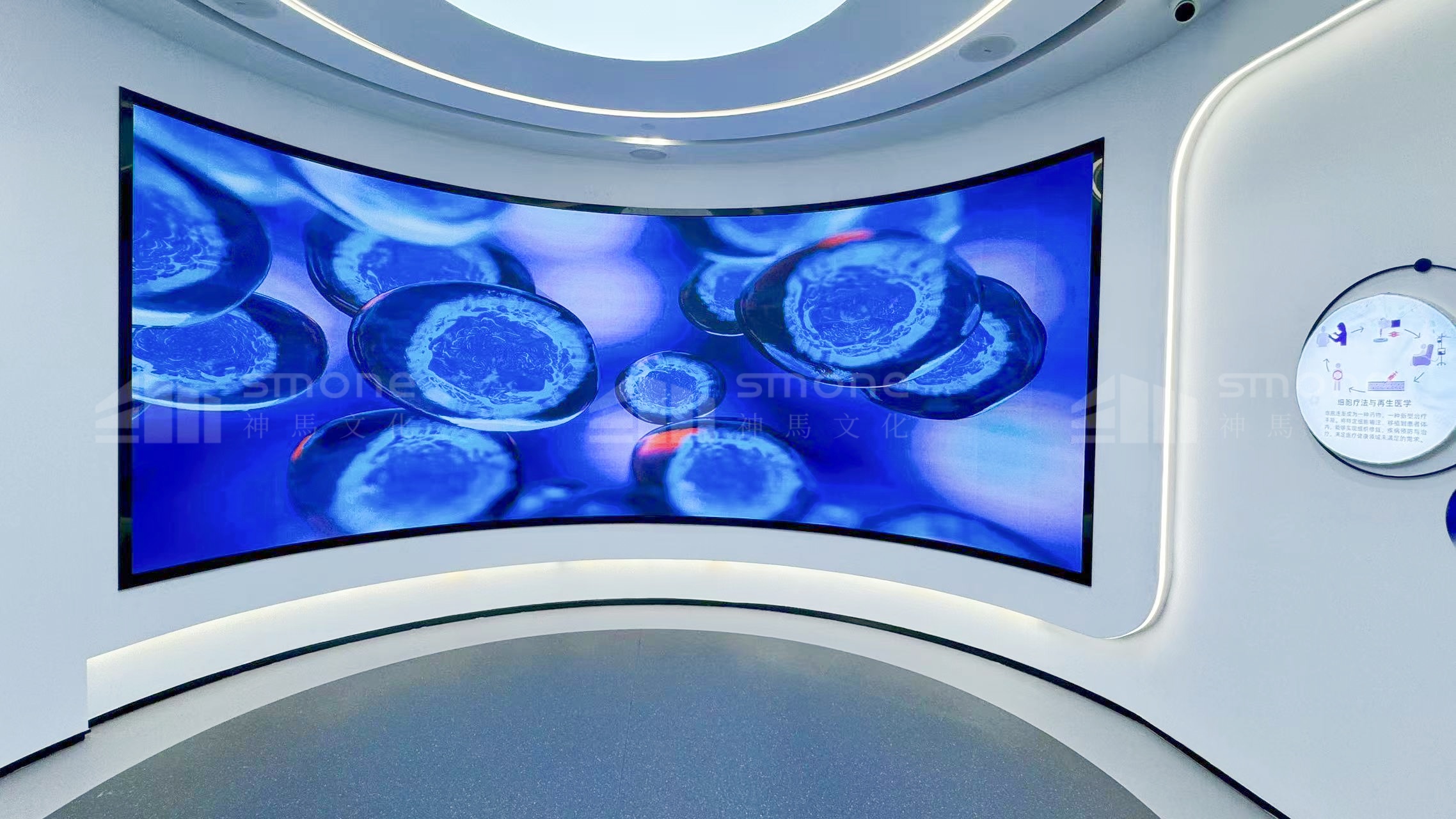 1758072061883392.jpg 奧本先康達實拍圖 (14).jpg