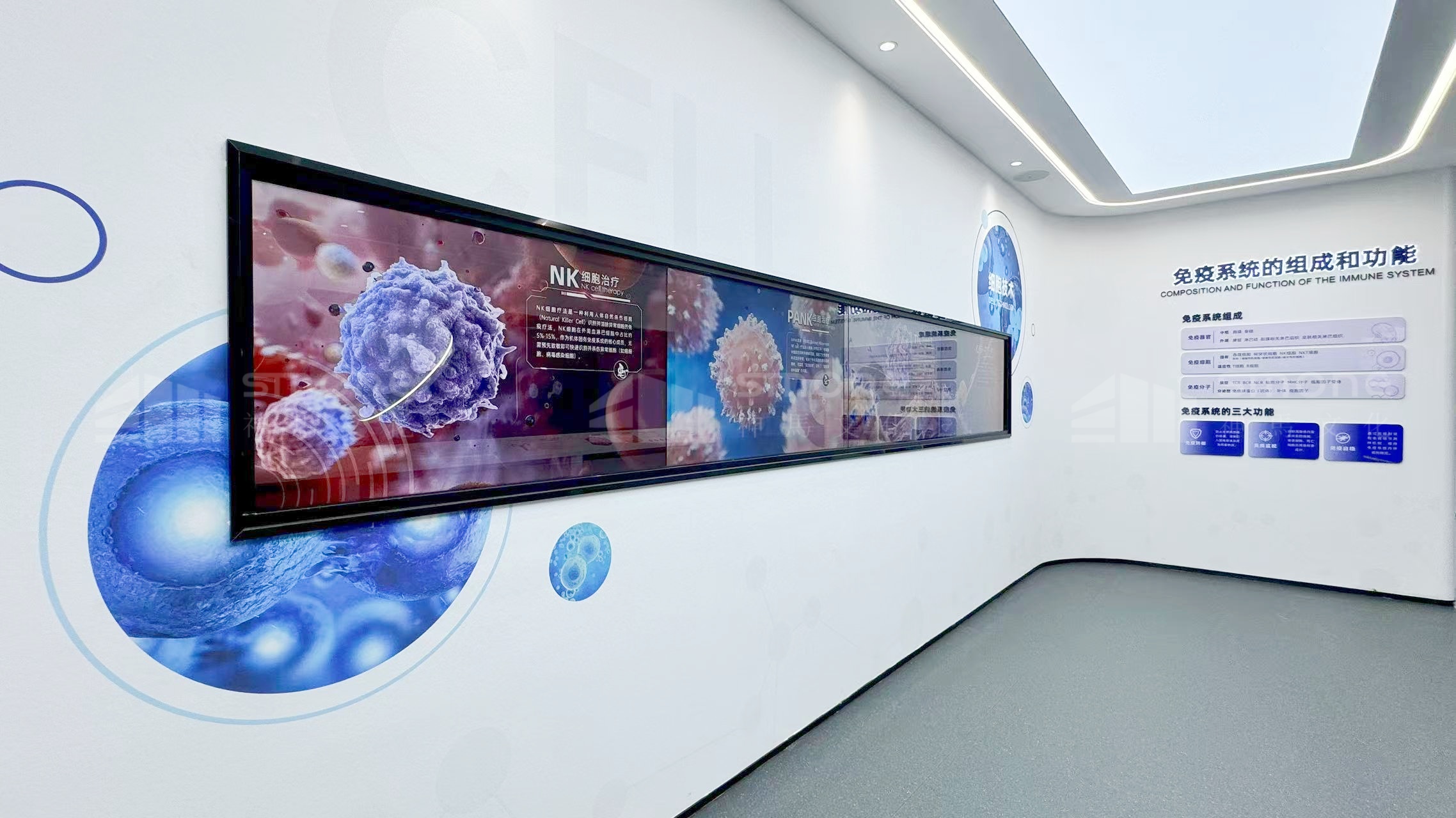 1758627011604645.jpg 奧本先康達實拍圖 (9).jpg