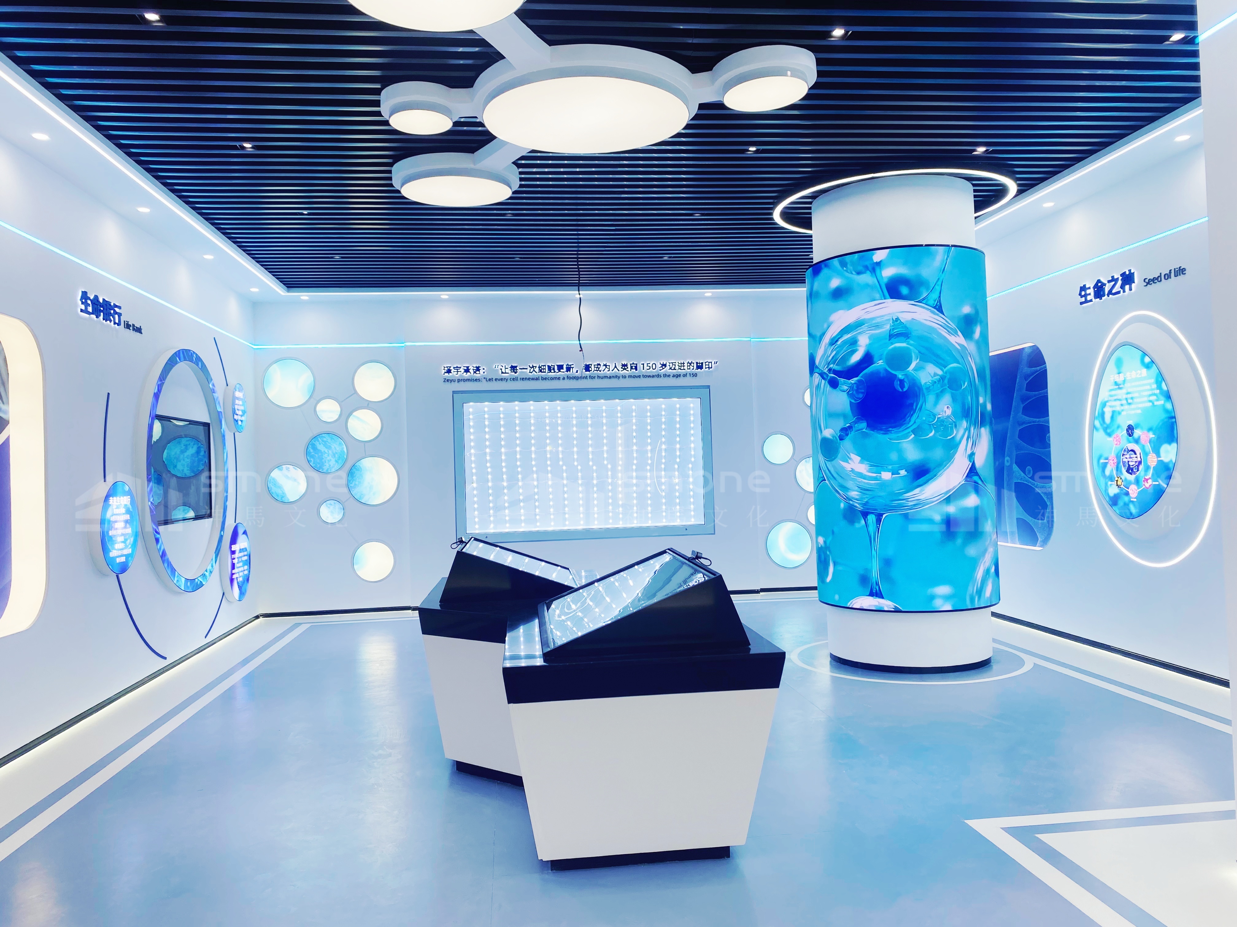 南京澤宇生物 (10).jpg
