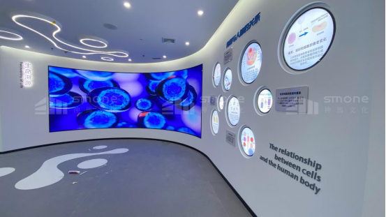 1764033558961302.png image.png