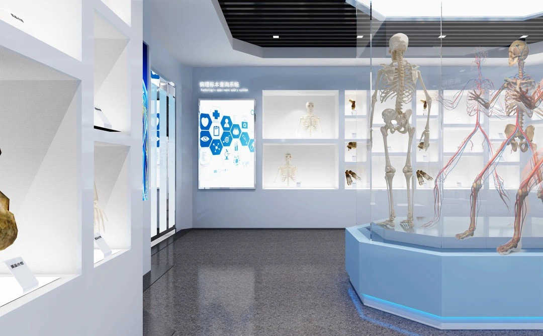 神馬文化SMONE：關(guān)于人體生命科學館的設(shè)計分析