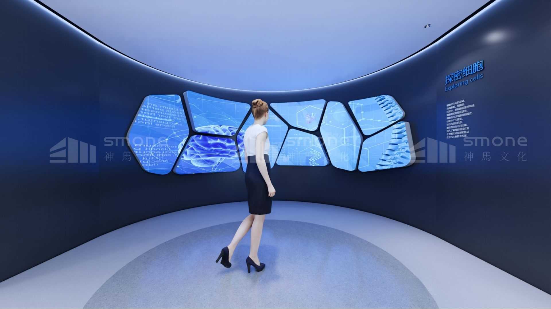 穿越時空，探秘干細(xì)胞“前世今生”