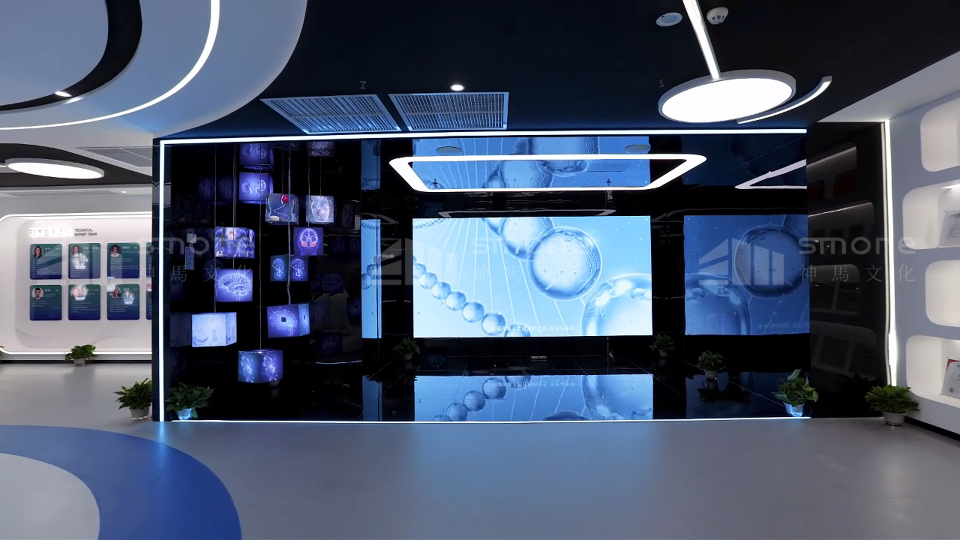 生物企業(yè)都在搶的設(shè)計(jì)方案｜生物醫(yī)藥展廳｜生物細(xì)胞展廳｜神馬文化